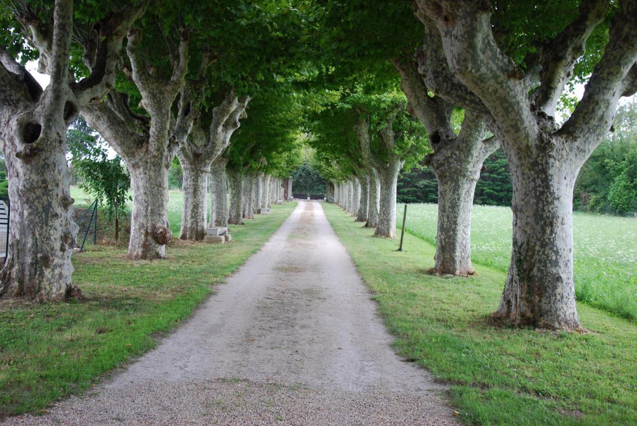 Le Mas Saint Jacques Le Pontet  Exteriér fotografie